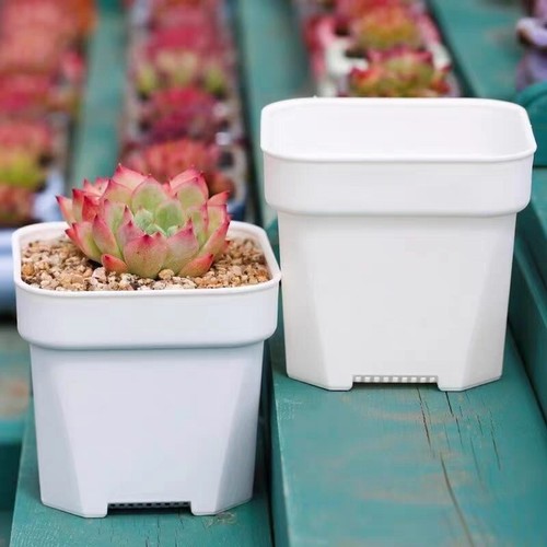 White square plastic - white,